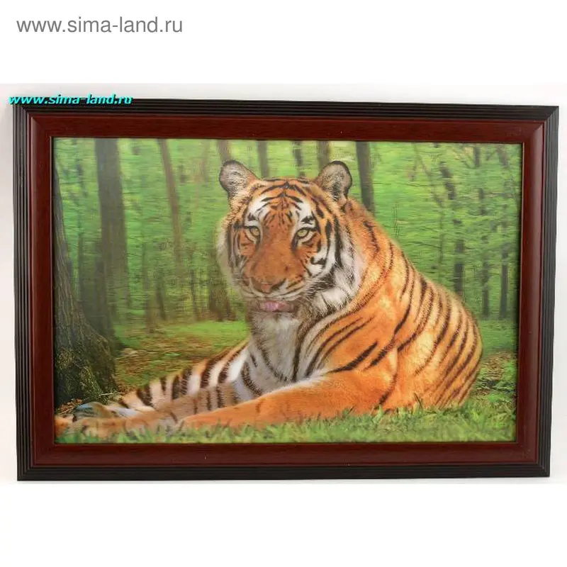 картина объемная 38*58 SLW-08102 тигр (бокс 16шт)