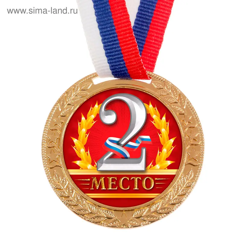 Медаль тематическая, 2 место, d=5 см