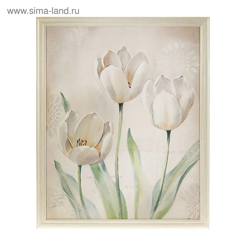 Картина "Тюльпаны белые", 44х54 см