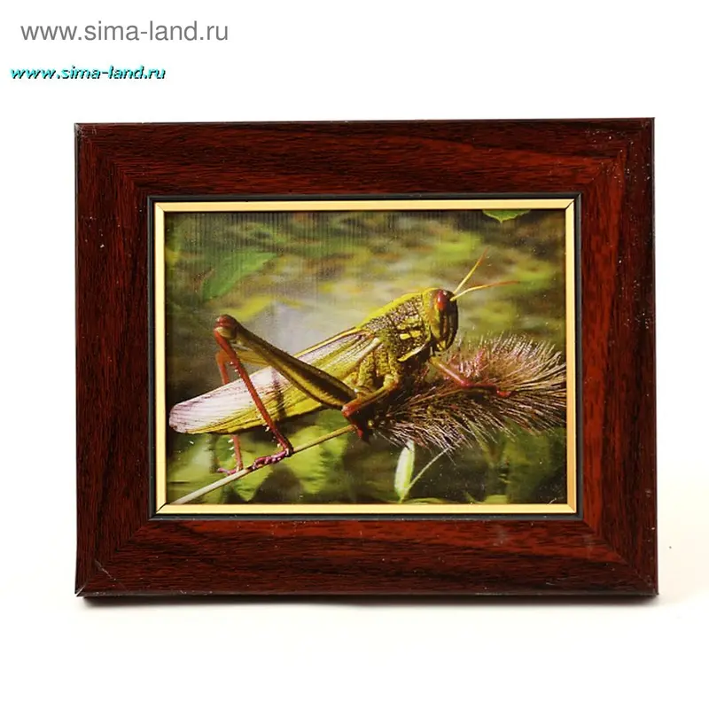 картина объемная 15*12 кузнечик классик рама