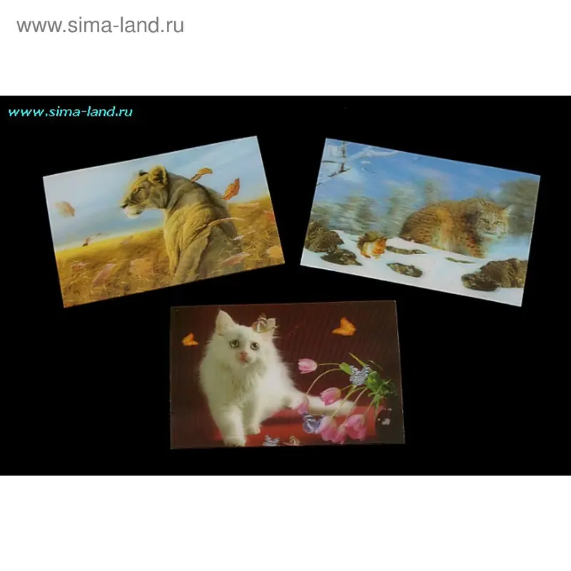 магнит пластик переливашка кошки 8,5*5,5 см (наб 12шт)(бокс 250наб)