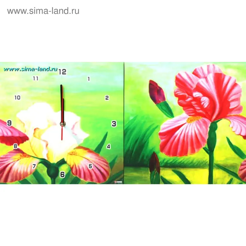 Настенные часы-картина 2 в 1 "Ирис", 30 × 30 см