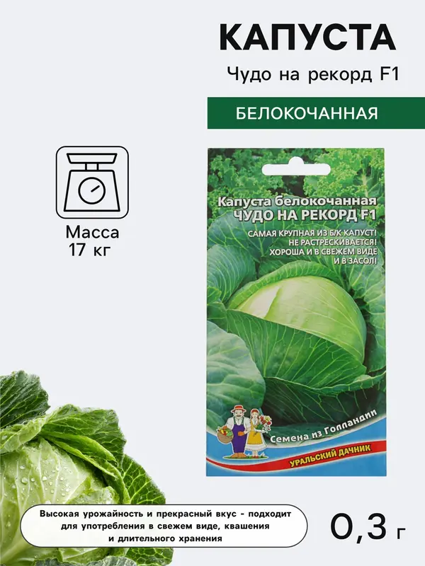 Семена Капуста белокочанная «Чудо на рекорд», F1, 0.3 г, позднеспелая, «»