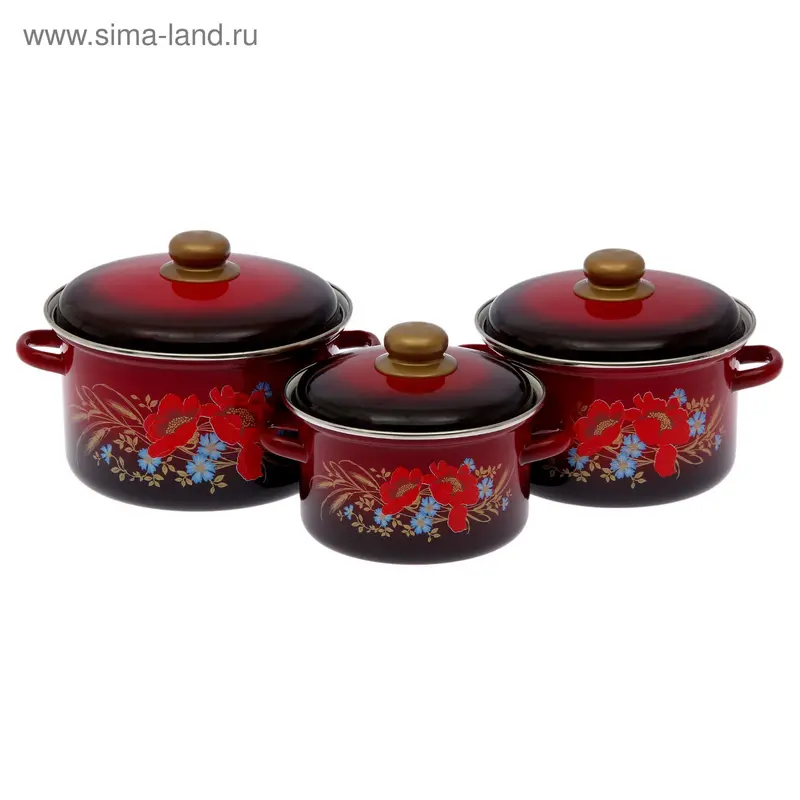 Набор кастрюль "Маки", 3 шт: 2 л, 3 л, 4 л