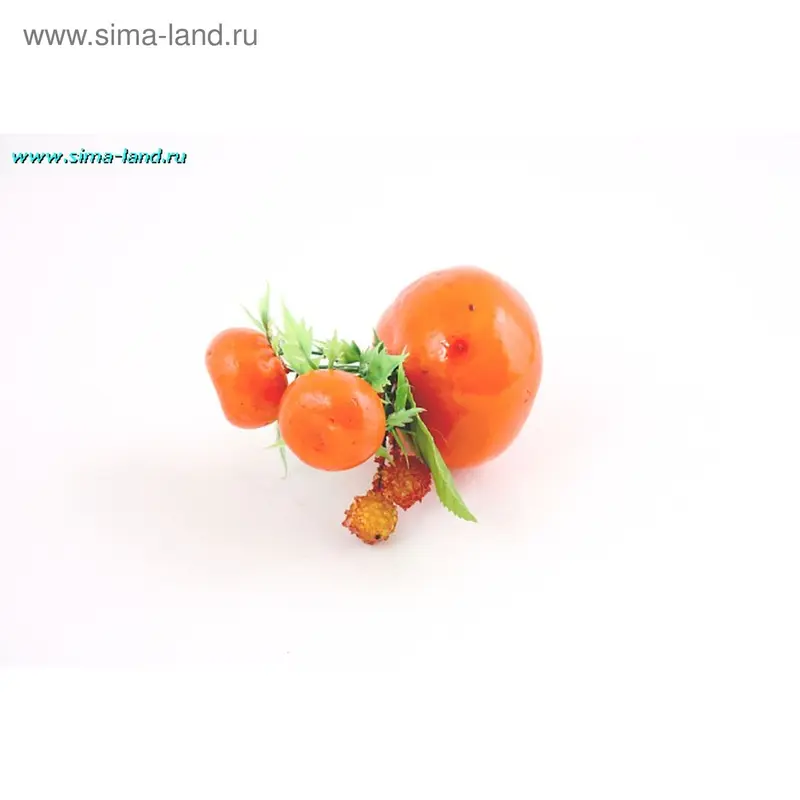 магнит пластик мандаринка с фруктами 6*4 см