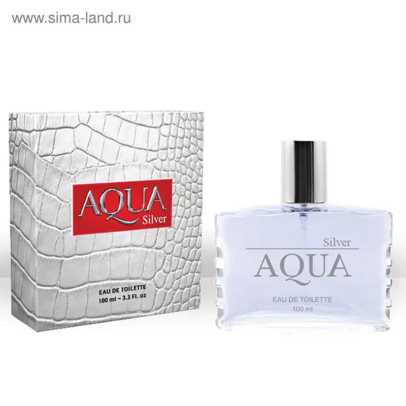 Туалетная вода мужская Aqua Silver, 100 мл