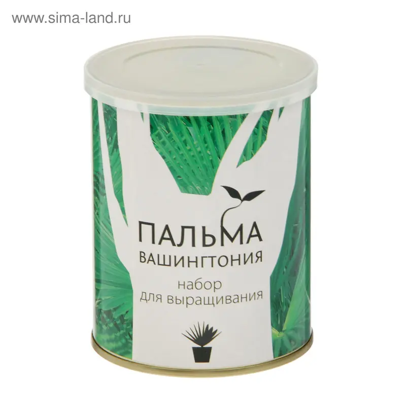 Растущая травка "Растение в банке "Пальма Вашингтония"