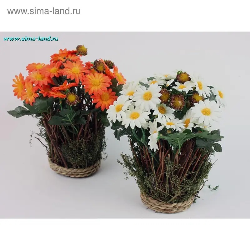 композиция мини ромашка садовая 22 см(12шт) (бокс 48шт)