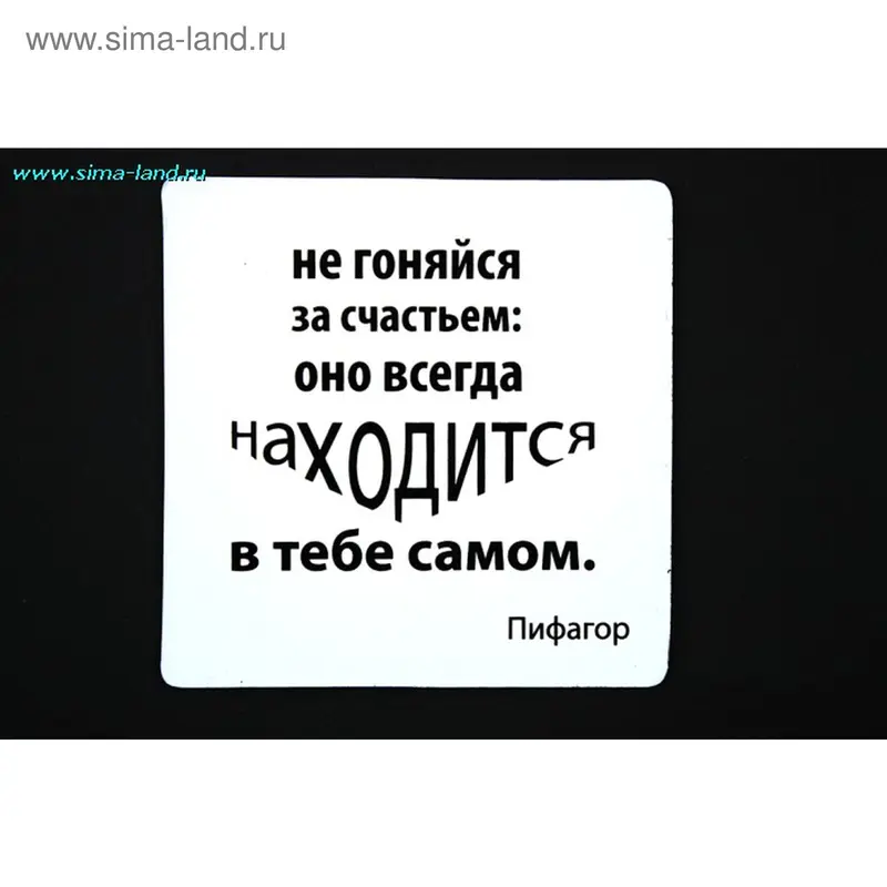 Магнит белый "Пифагор - Не гоняйся за счастьем..."