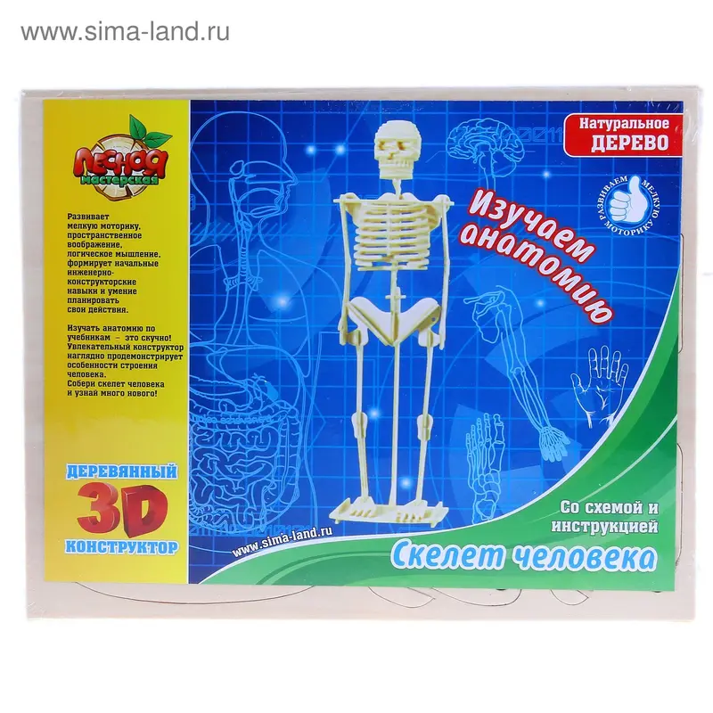 Конструктор деревянный 3D "Скелет человека"