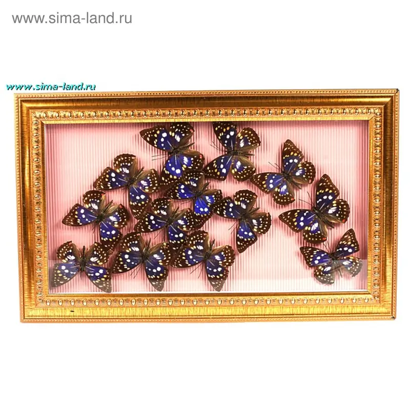 картина 49*29 см бабочка радуга