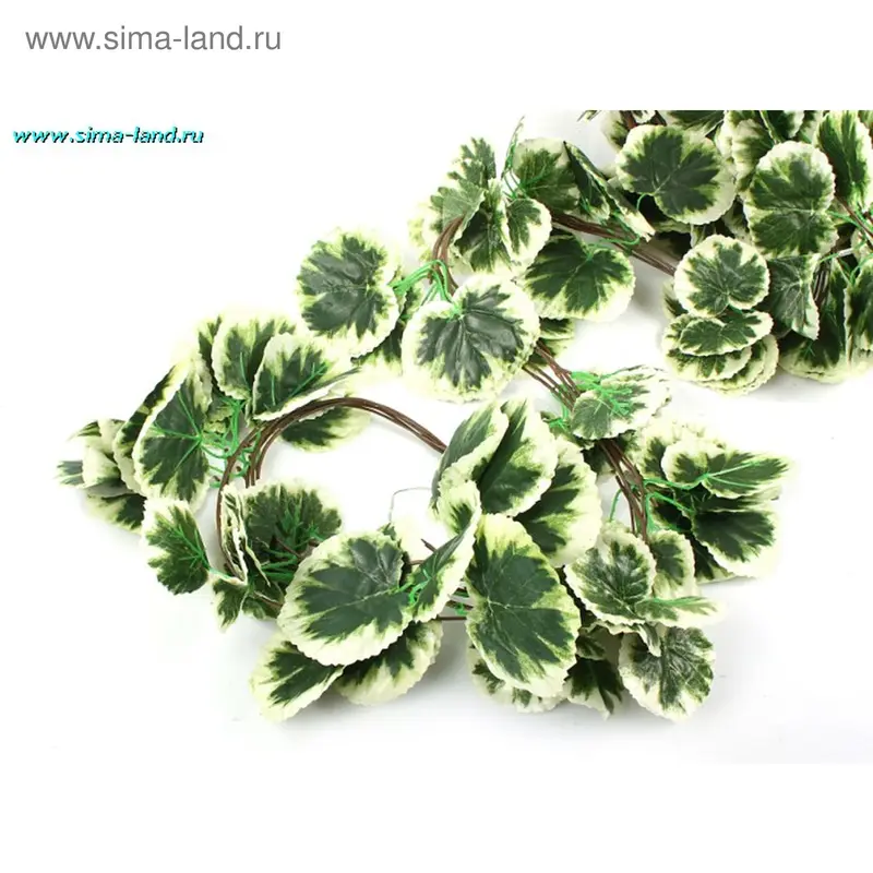 лиана лист круг с белым 2,5м