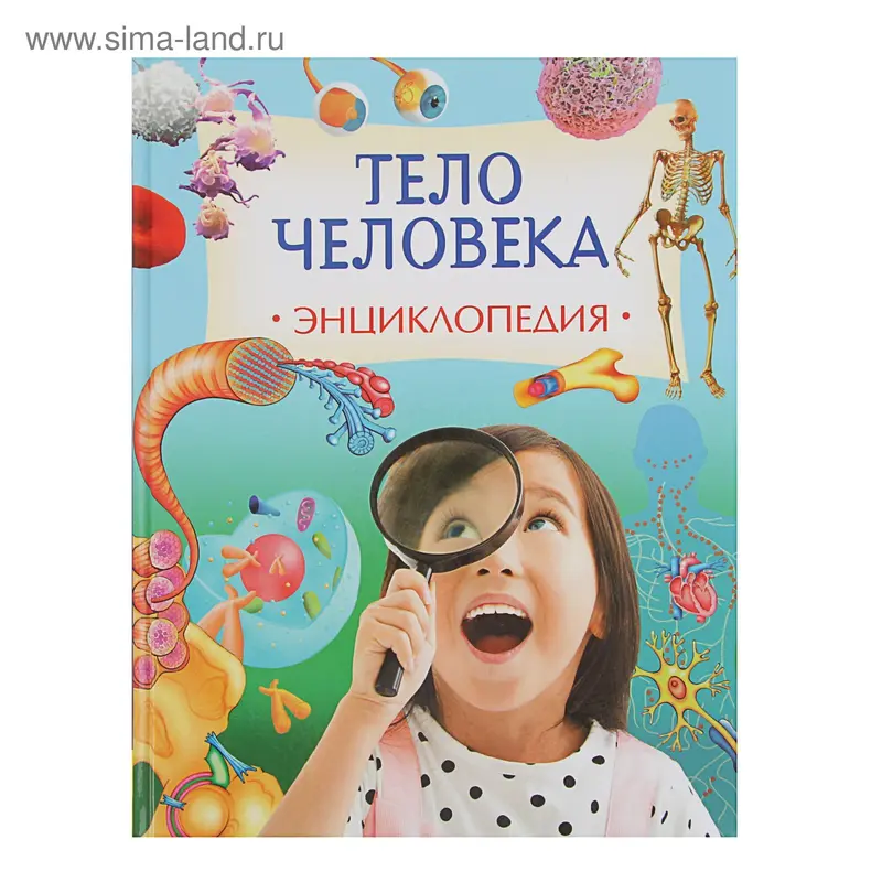 Живая природа «Тело человека»
