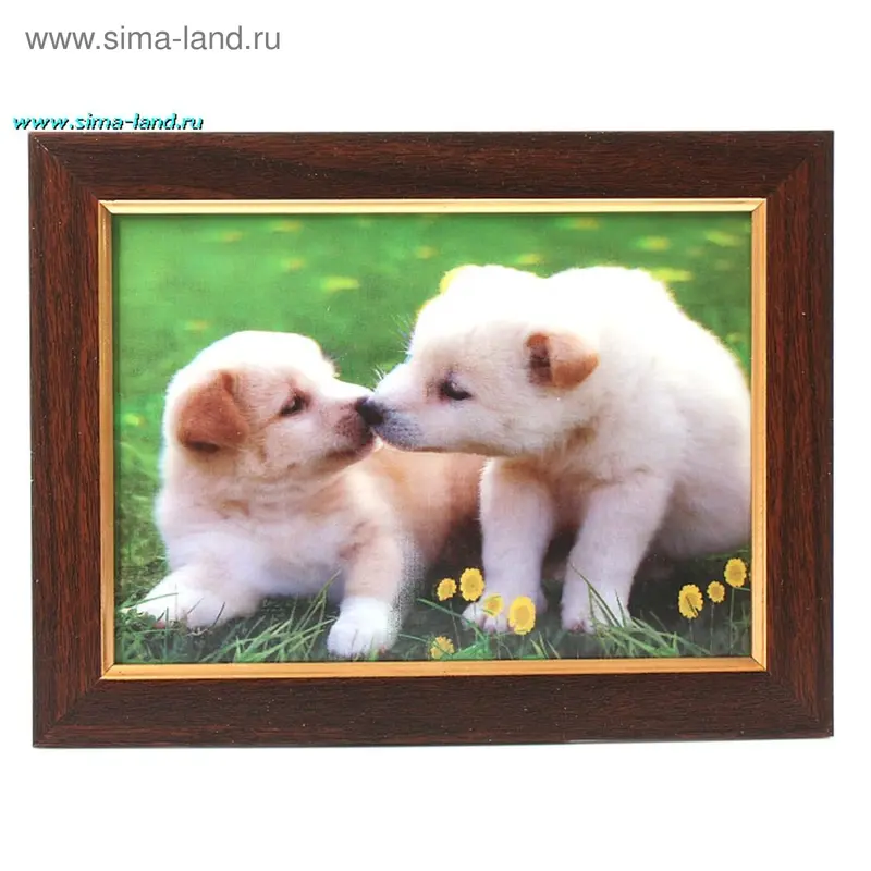 картина объемная 13*18 см два щенка