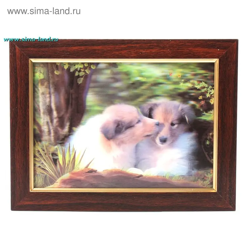 картина объемная 13*18 см колли