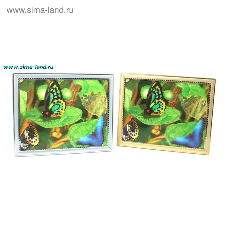 картина объемная 20*25 см пр д р бабочки