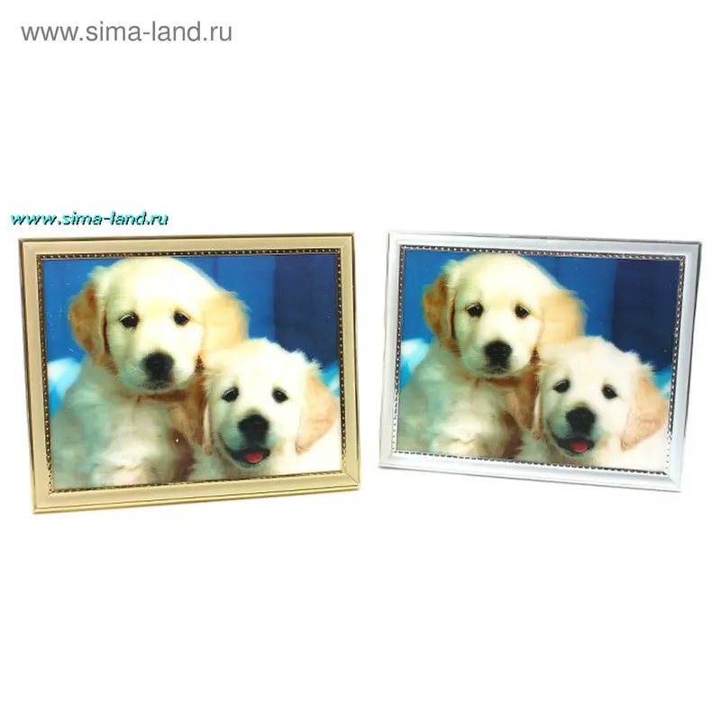 картина объемная 20*25 см пр д р два песика
