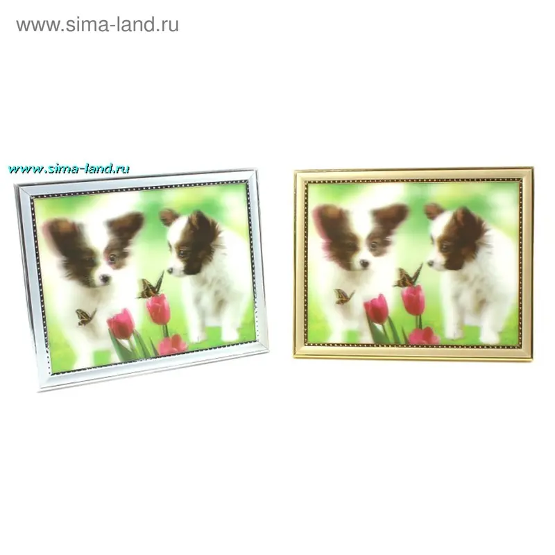 картина объемная 20*25 см пр д р собачки тюльпан