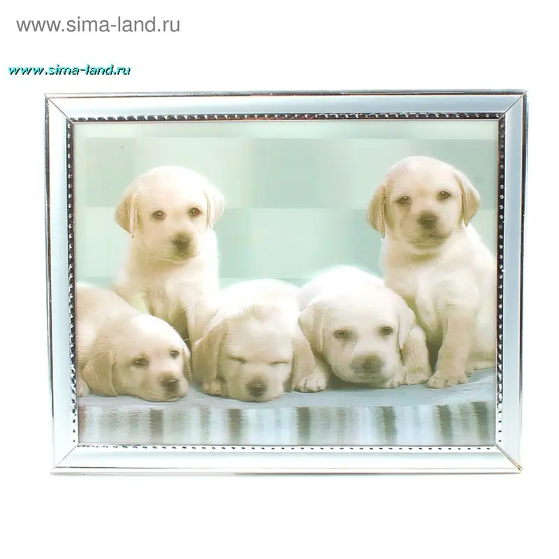 картина объемная 20*25 см пр д р пять щенков