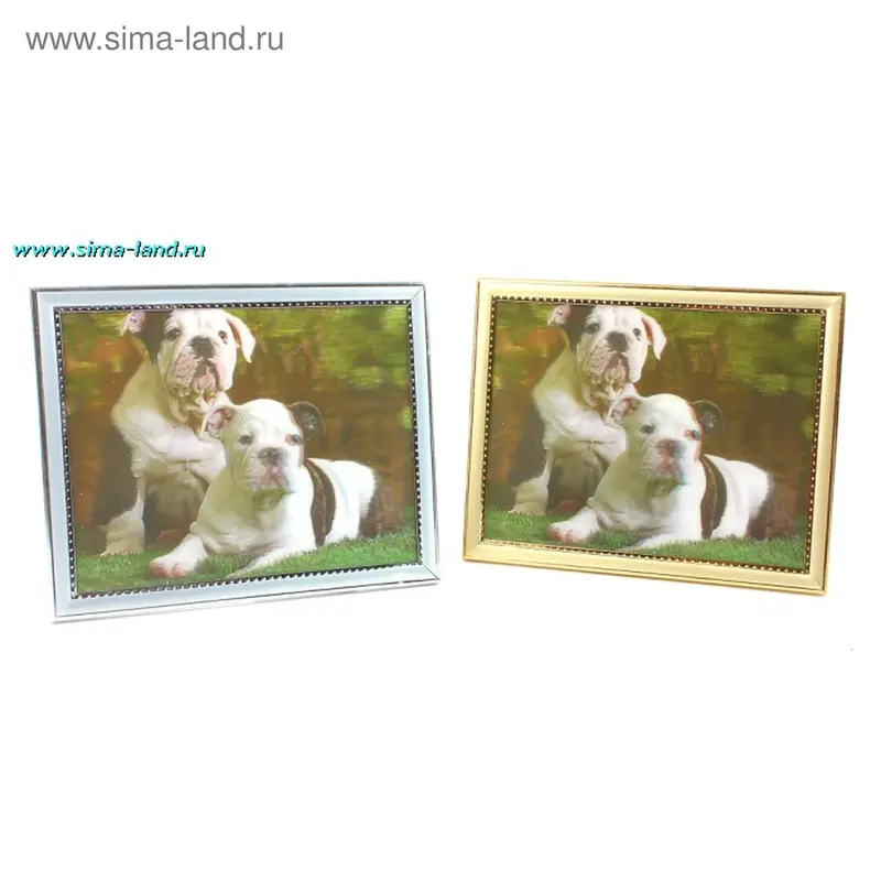 картина объемная 20*25 см пр д р две собачки