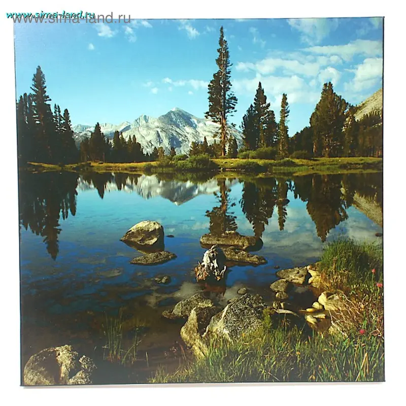 картина холст 45*45 см природа