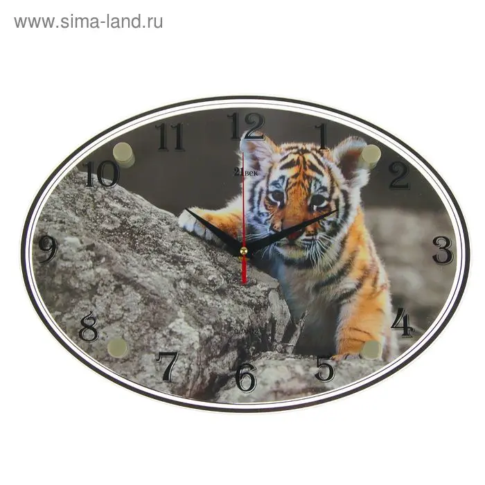 Часы настенные овальные "Тигренок", 24х34 см микс