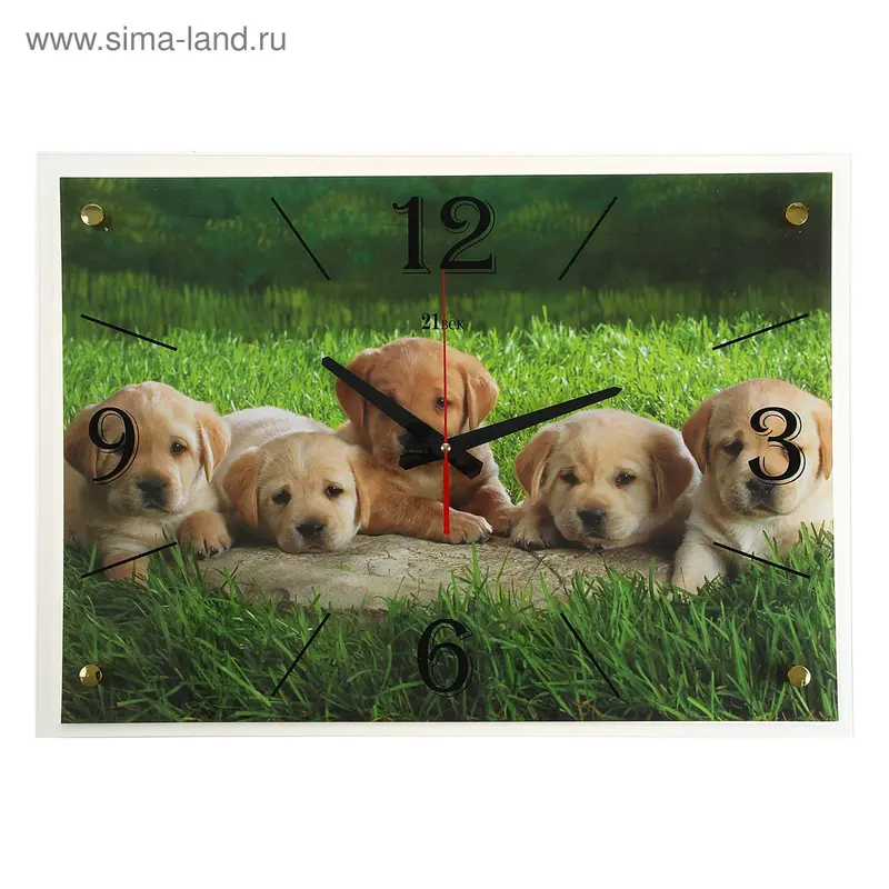 Часы настенные, серия: Животный мир, "Щенята", 40х56 см