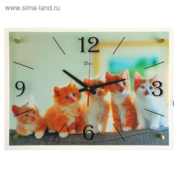 Часы настенные прямоугольные "Котята", 40х56 см