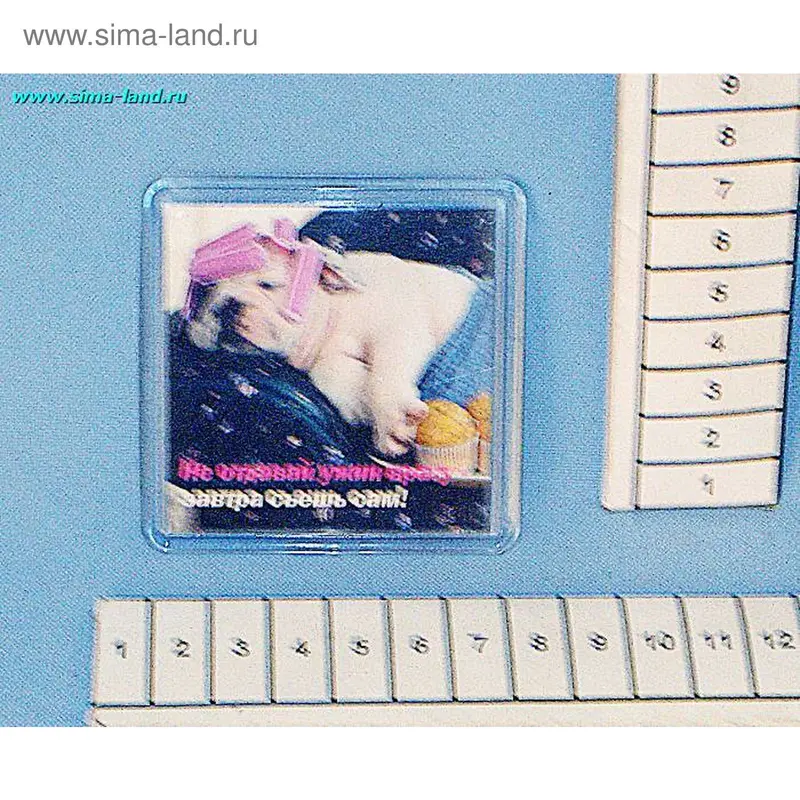 магнит стекло МП463 Собака в бигудях мин 5 шт