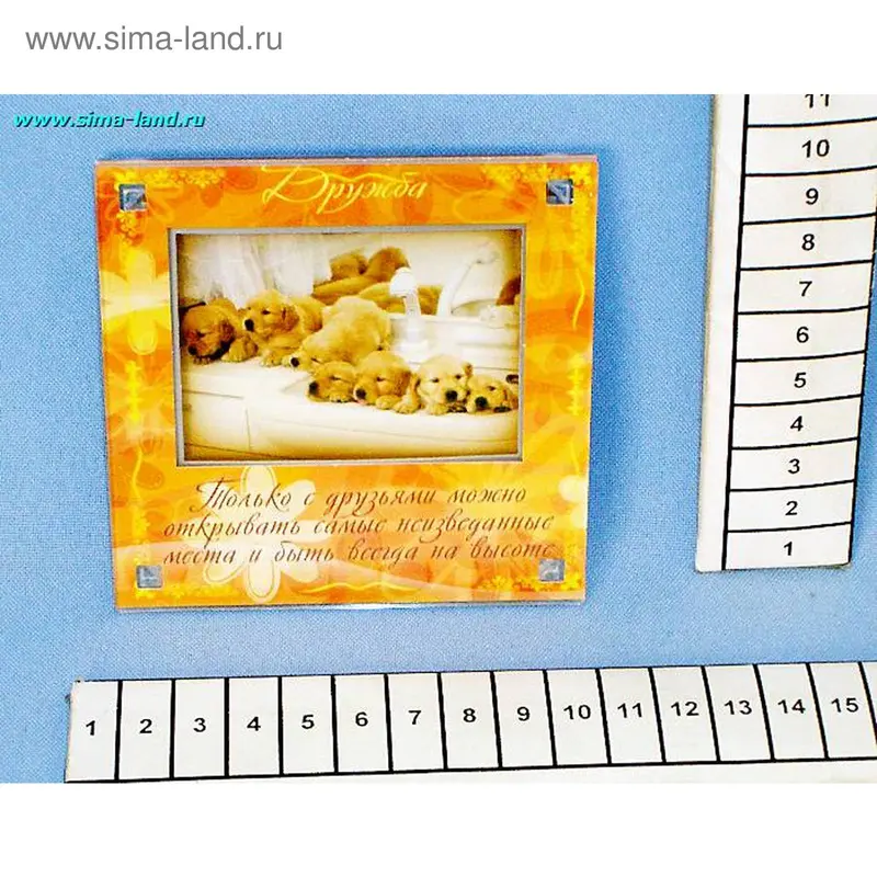 магнит стекло МР71 Щенки мин 3 шт