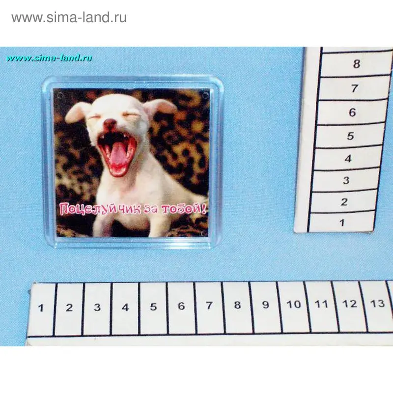 магнит стекло МП345 Поцелуйчик за тобой! мин 5 шт