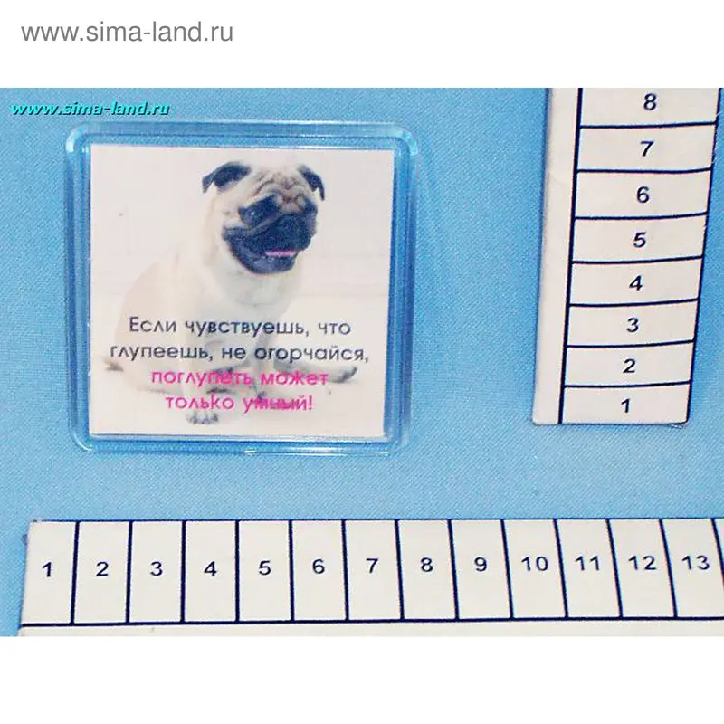 магнит стекло МП441 Собака мин 5 шт