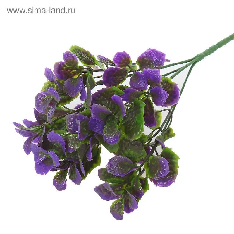 букет 30 см гинура