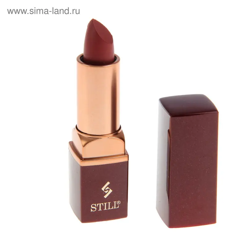 Помада для губ Still Plump Ritz, для объма губ, тон №810, Тайна Магриба, 4 г