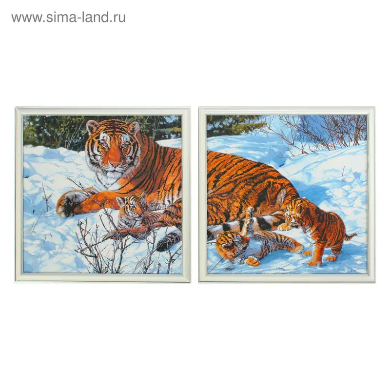 Картина модульная "Тигрица" 33х66 см