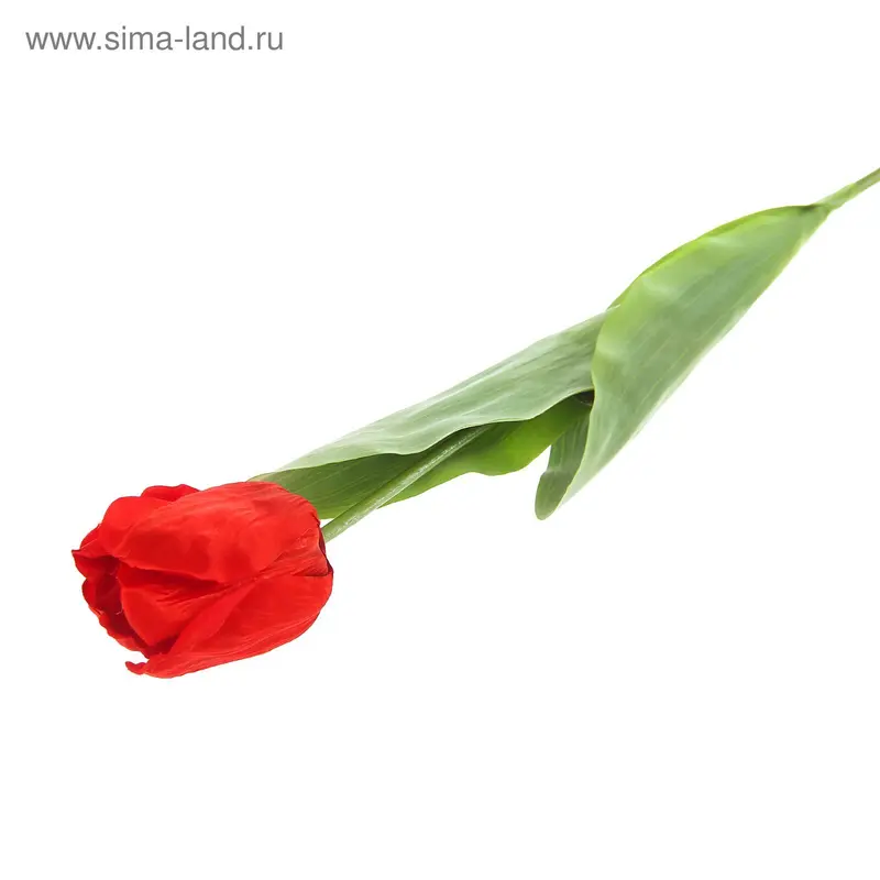Цветы искусственные 75 см "Тюльпан Кореопсис" красный