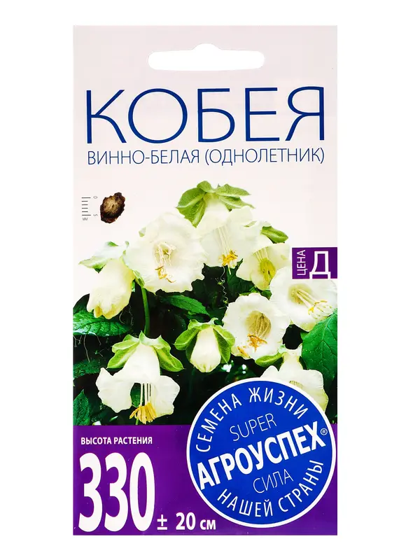 Семена цветов Кобея "Винно-белая, 4 шт
