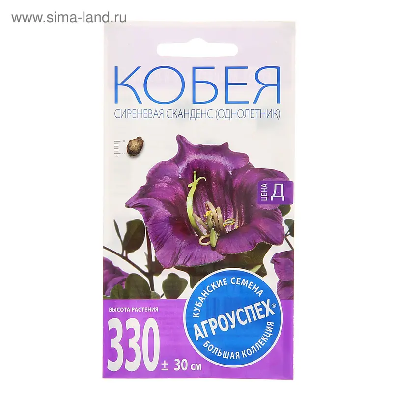 Семена цветов Кобея «Сиреневая Сканденс», 4 шт