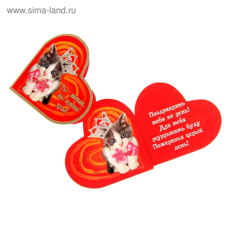 Открытка-валентинка "Ты - звезда" котенок