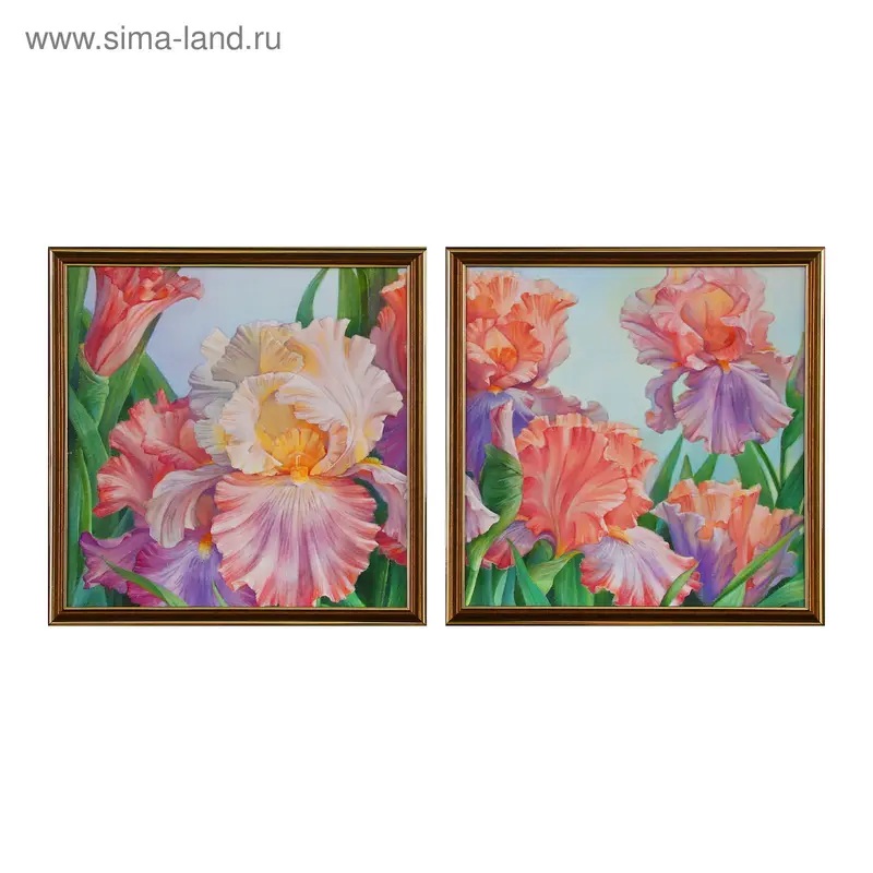 Картина модульная "Разноцветные цветы" 33х66 см