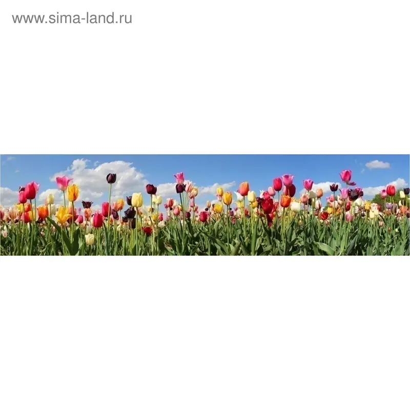 Кухонный фартук "Тюльпаны" 2440х600х3 мм