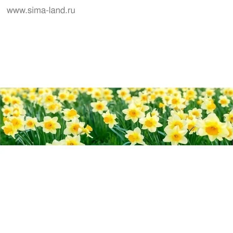 Кухонный фартук "Нарциссы 2" 2440х600х3 мм
