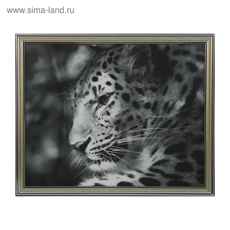 Картина "Гепард" 31*38 см