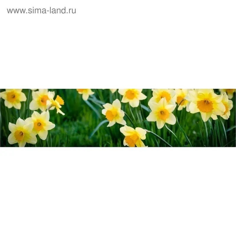 Кухонный фартук "Нарцисс" 2440х600х3 мм