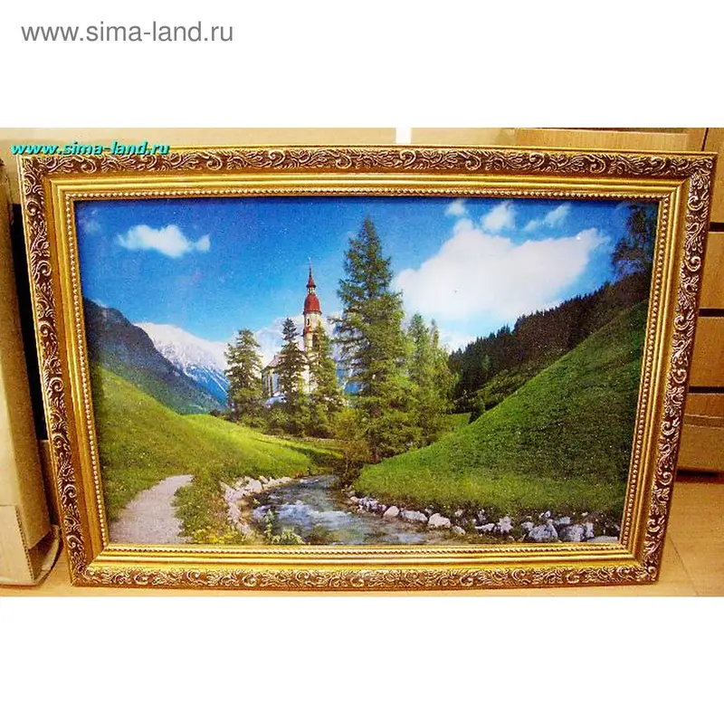 картина свет 65*45 см в ассортим