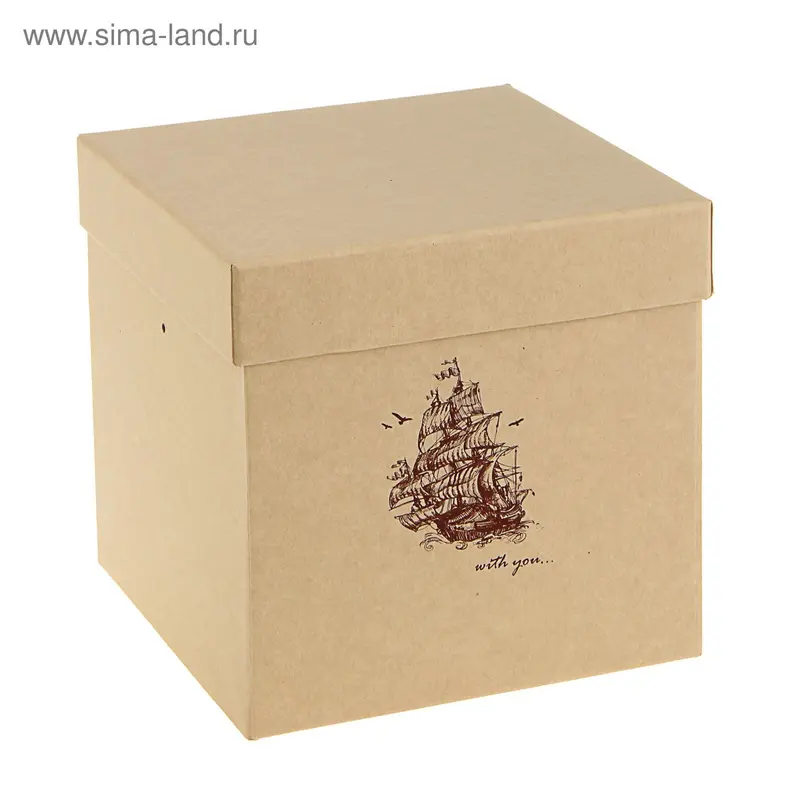 Коробка крафт под цветы "Кораблик", 20 х 20 х 20 см
