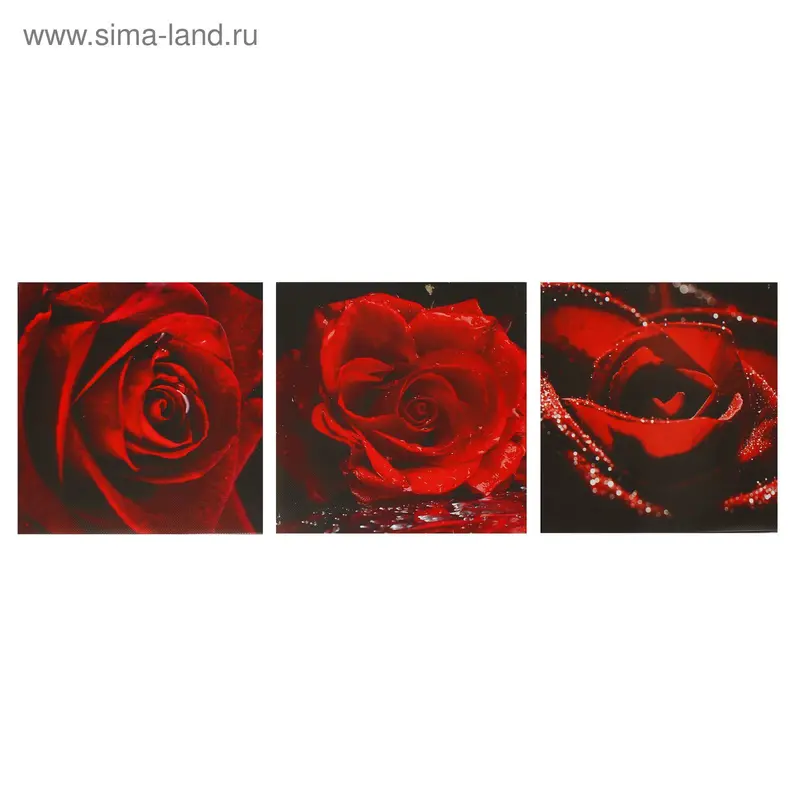 Картина модульная на подрамнике "Бархат" 3шт.-28*28см; 28х84см