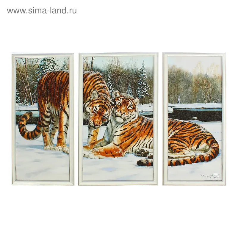 Картина модульная "Нежность тигров" 50*70см