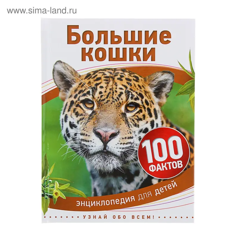 Энциклопедия для детей «Большие кошки»