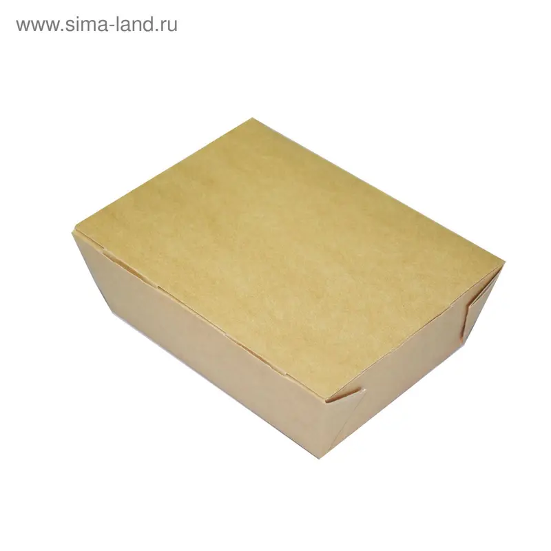 Упаковка для продуктов, ланч-бокс 19 х 15 х 5 см, 1 л